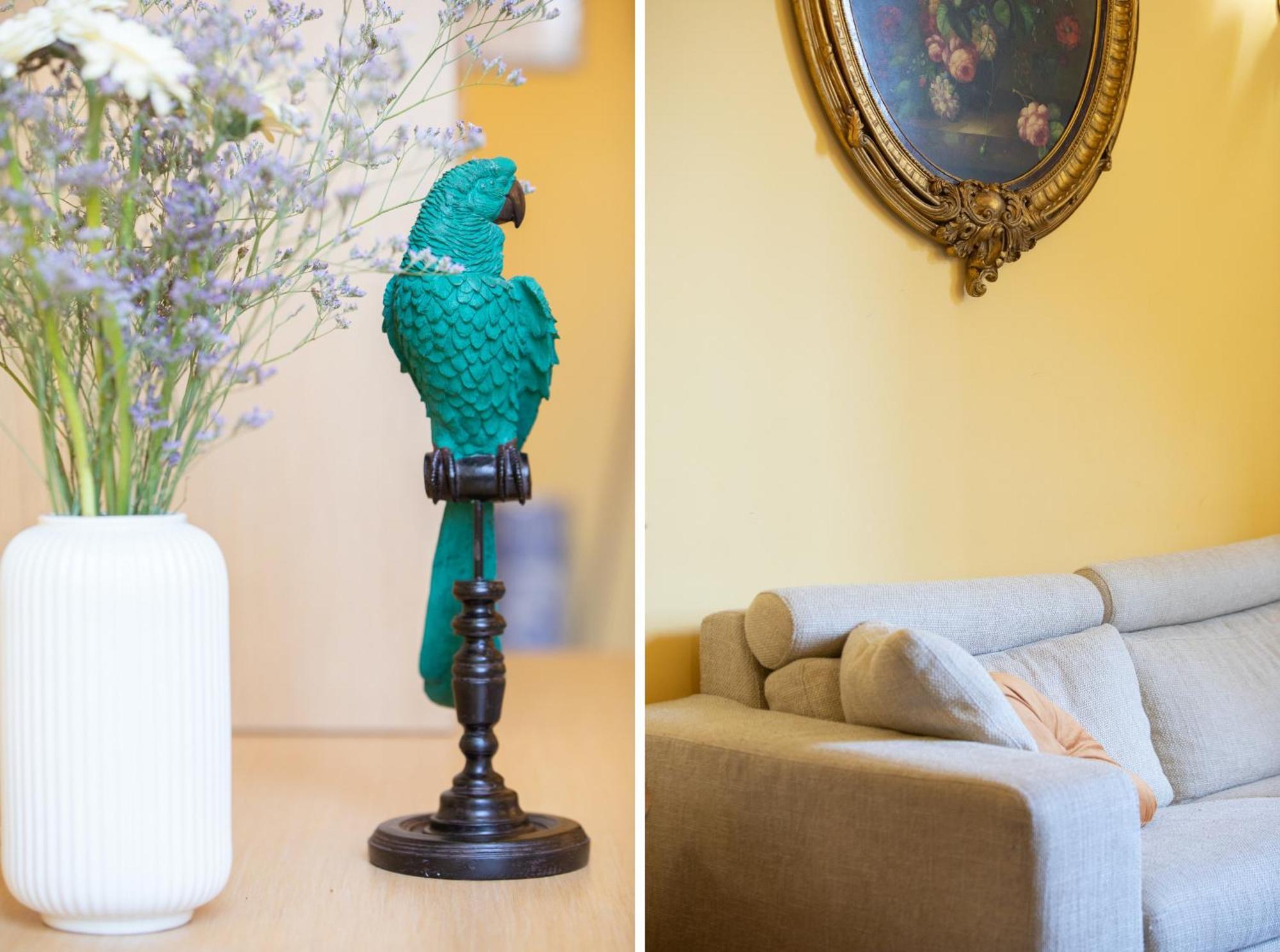 Residenza Cattedrale In Center Town Apartment Lucca